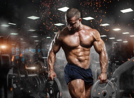 10 cách tăng cơ hiệu quả dành cho người mới tập gym