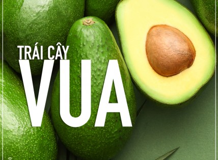 BƠ - TRÁI CÂY VUA CHO SỨC KHỎE 