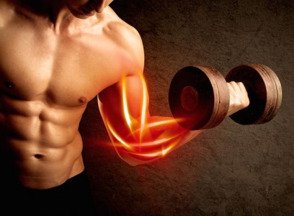 Top Các Loại Pre Workout Mạnh Nhất Thị Trường