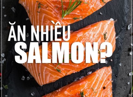 GIÁ TRỊ DINH DƯỠNG TỪ CÁ HỒI