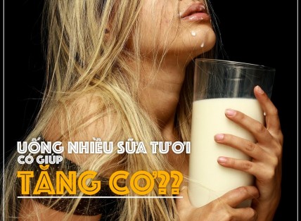 LIỆU UỐNG NHIỀU SỮA TƯƠI CÓ GIÚP BẠN XÂY DỰNG CƠ BẮP ?