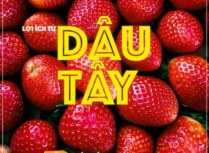 Nhiều lợi ích từ dâu tây tốt cho sức khỏe có thể bạn chưa biết!