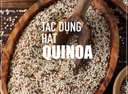 QUINOA - LOẠI HẠT KHÔNG ĐƯỢC GỌI LÀ NGŨ CỐC