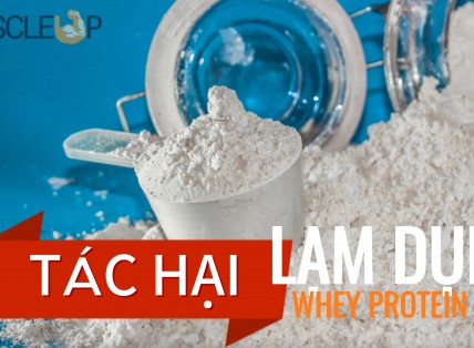 Tác Hại Kinh Khủng của Lạm Dụng và Dùng Sai Whey Protein