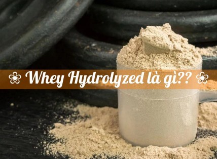 Whey Hydrolysate là gì và những điều đặc biệt về loại whey này