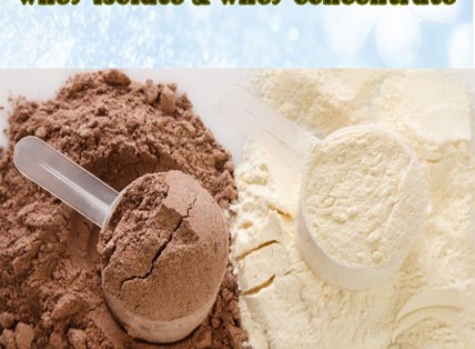 Whey Isolate & Whey Concentrate dòng nào trội hơn?
