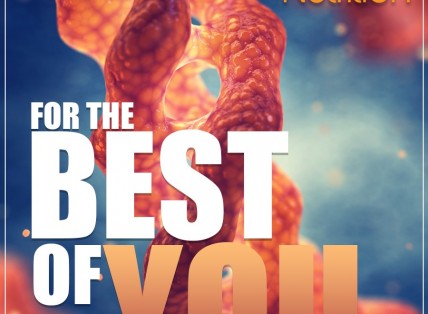 ZNutrition - Thương hiệu danh tiếng trong ngành thực phẩm bổ sung