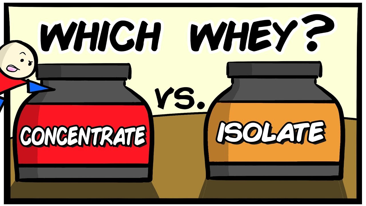 whey-isolate-hay-whey-concentrate